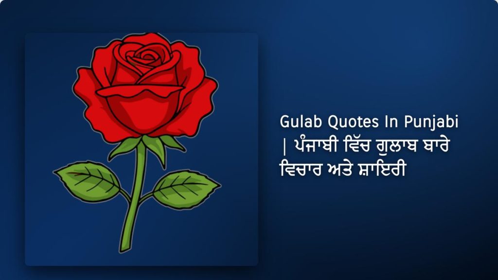 240+ Best Gulab Quotes In Punjabi| ਪੰਜਾਬੀ ਵਿੱਚ ਗੁਲਾਬ ਬਾਰੇ ਵਿਚਾਰ ਅਤੇ ਸ਼ਾਇਰੀ